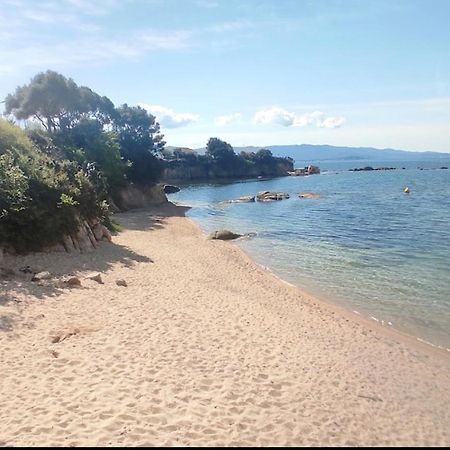 阿雅克肖Magnifique T2 Ajaccio公寓 外观 照片